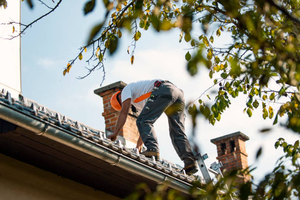Best Roof Leak Repair  in Virginia, IL