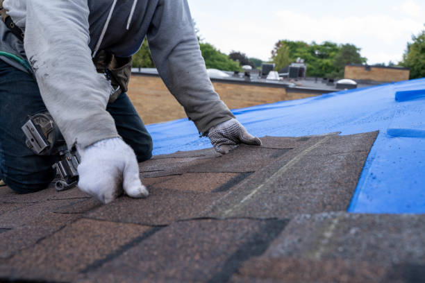 Roof Gutter Cleaning in Virginia, IL