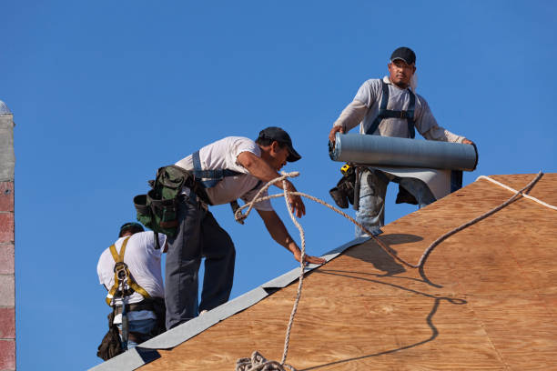 Best Roof Maintenance Services  in Virginia, IL